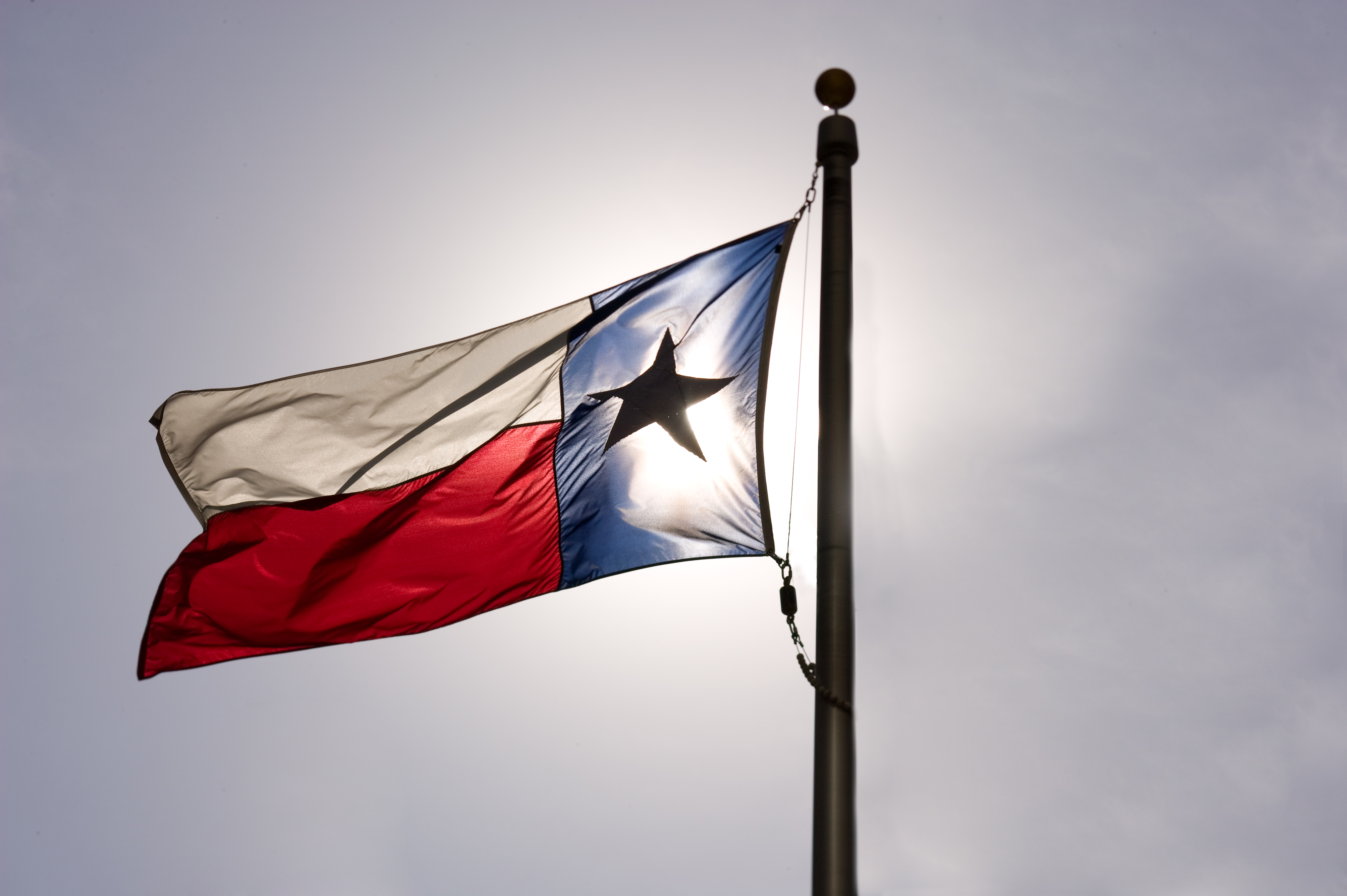 Texas flag