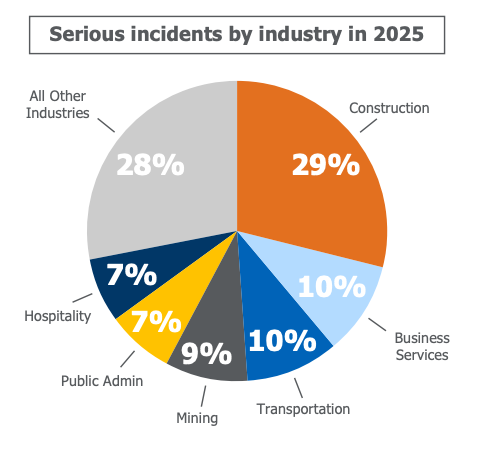 Serious incidents by industry pie chart