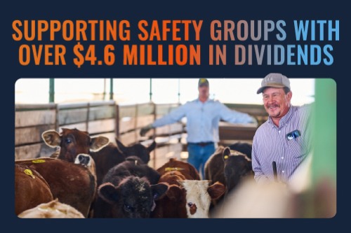 Supporting safety groups with over $4.6 million in dividends