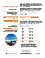 Lone Star Auto Dealers factsheet