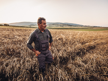 Farmer standing in a field of wheat